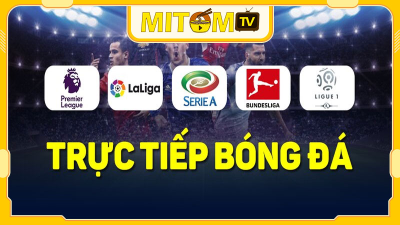 Mitom TV tại mitom1-tv.pro: Lựa chọn hàng đầu của người yêu bóng đá